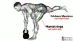7 Best Exercise Glute Workout