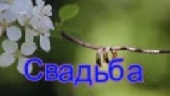 Свадьба. Владимир Курский. HD 1080р