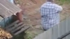 Житель Биробиджана 15 раз выстрелил в пса, сидевшего во двор...