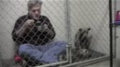 Энди Матис, бездомный пес и любознательный кот