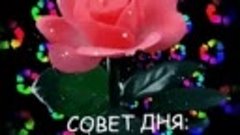 Совет дня!.mp4