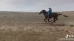 Казахская девочка на скачке лошадей в Китае заняла первое ме...