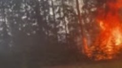 Лесной пожар в Нолинском районе у д. Средние 15 мая 2021