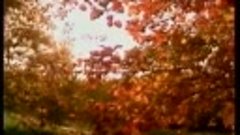 Алла Пугачёва - Осень (Видео из канала &quot;Русская эстрада&quot;)
