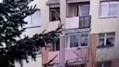 В Польше 25 летний чувак выбросил в окно свою бабулю.
