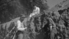 Богова делянка ( 1958 год. драма, мелодрама, комедия, трагик...