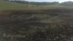 В Алтайском крае исчезло озеро