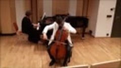 MusicCompetitionOnline - Wawrowski Tadeusz, Cello. Elgar - C...