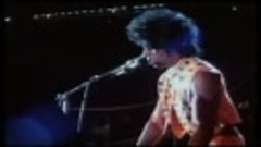 Little Richard and Friends - Legends In Concert