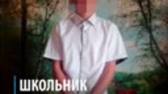 В Новосибирской области образцовая учительница потеряла рабо...