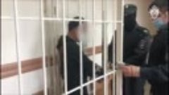 Арест нападавшего на девочку в Солнечногорске