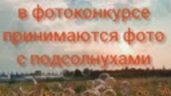 Фотоконкурс .mp4