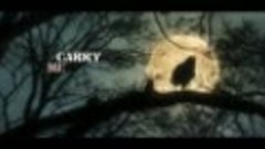 BRAINSTORM - Where Ravens Fly (2021) __ Official Lyric Video...