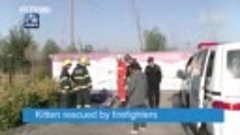 Пожарные спасают котенка Stuck in a pipeline- Firefighters s...