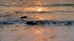 Восход Солнца на берегу Индийского океана, ОАЭ, (видео от по...