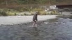 Вот так на Сахалине ловят рыбу! На рыбалке