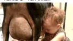 VID-20211218-WA0000.mp4