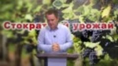 Олег Ремез 4 урок Стократный урожай