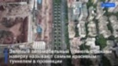 Удивительный зеленый тоннель в Китае показали с воздуха