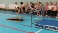 Тренировка:учимся прыгать в длину с разбега с использованием...