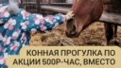 🏇 Семейные конные прогулки - совершенно реально! 

Приглаша...