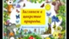 Заглянем в царство природы Интеллектуальная игра