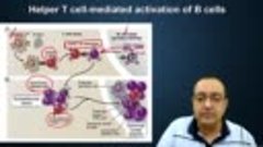 5. Adaptive Immunity 3. B Cell Differentiation-16