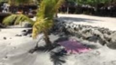 VLOG на Самоа скетчинг на острове Гоген поросенок баунти