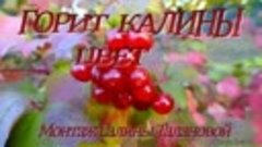 *Горит калины цвет*-  Андрей Кяйс