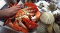 Шторм на море! Крабы, ракушки и икра морского ворона