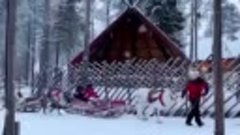 Катание на санях в Финляндии