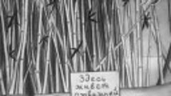 Мультфильм Почему у носорога шкура в складках 1938