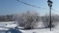 Зимний Принарский парк