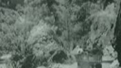 Kürdüstanda (1938)(qısametrajlı sənədli film)