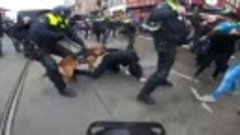 Голландская полиция собаками разгоняет митингующих против пр...