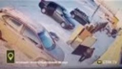 Садистка из Мелиуза Башкортостан выбросила кошку на мороз