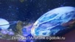 videoredaktor.ru.a29ea197-3bc4-4b3b-b1d4-af72f795c4a2