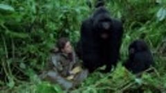 4264-Gorilas En La Niebla (1988) 720p D S spa eng