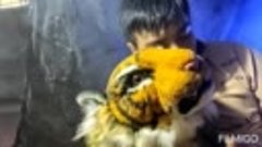 In 2022, I was given a tiger. thank you for your attention a...