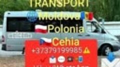 ☑️ZILNIC AVEM PLECĂRI SPRE EUROPA🌐
📞(+37379199985)Viber/Wh...