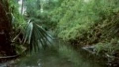 Связь через Майами (США, 1987)