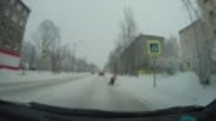 В Апатитах ребенок катал комок снега на пешеходном переходе ...