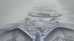 Изумительное приводнение красивого лебедя 😊