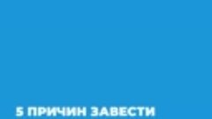 5 причин завести профиль на Госуслугах