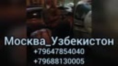 Такси Москва Ташкент 