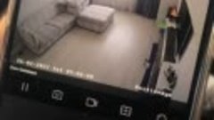 Видео с камер внутри одной из квартир взорванного дома.