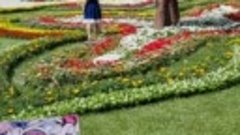 Фестиваль цветов 💐 6 мая 2022 Ташкент. Продолжение....