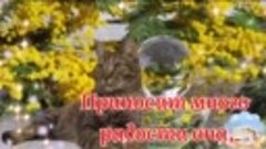 С Добрым Утром! 🌷Счастливого Дня И Отличного Настроения! 🌷...