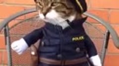 Кот Полицейский ...