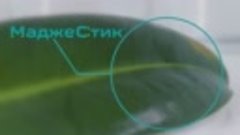 Органо-силиконовый суперсмачиватель МаджеСтик